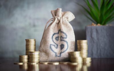 Rendimento Franchising Como obtêm rendimento os Franchisadores?